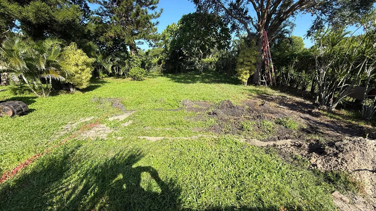 The same Boca Raton backyard as lawn on day one