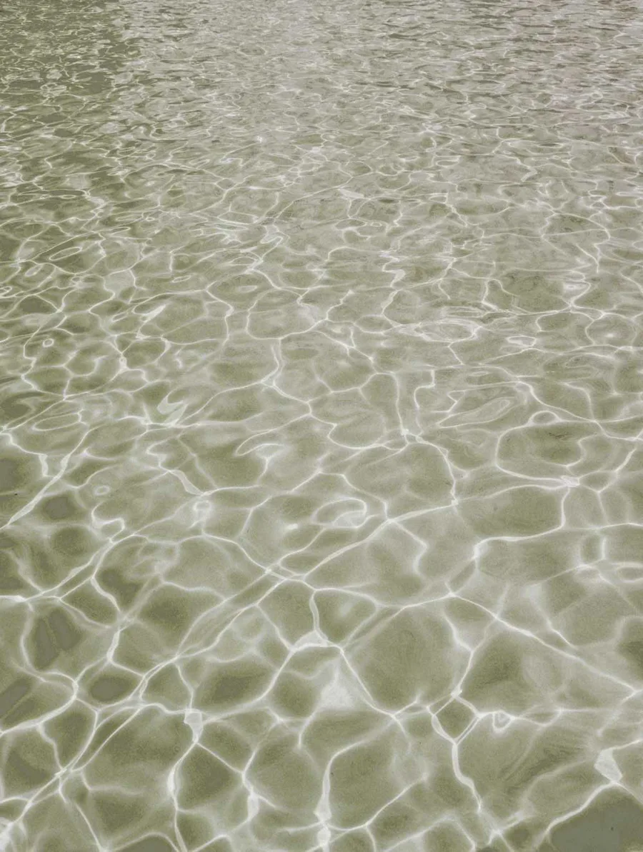 Pool water over a Latham Coastal Bronze fiberglass shell